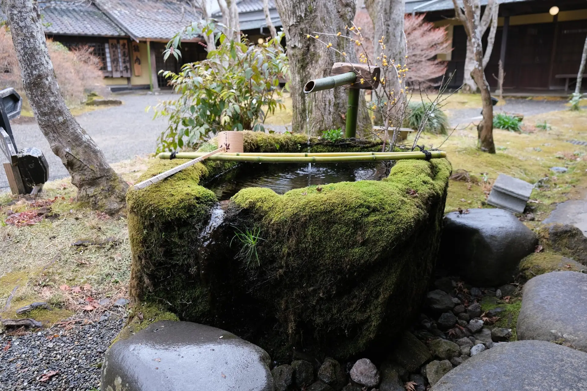 Wasserbecken in einem japanischen Garten